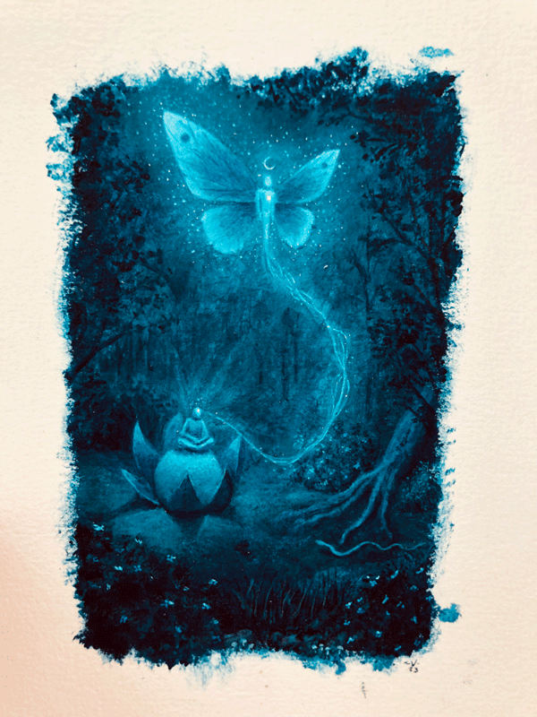 Floresta-2.png600