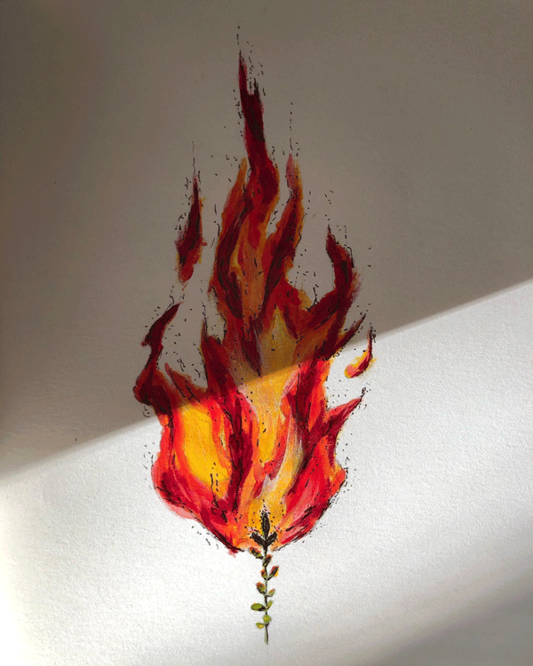 Incenso-natural-1.png600