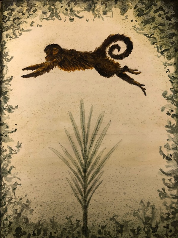 Macaco.png