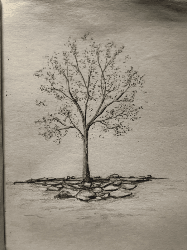 Mulungu-1.png600