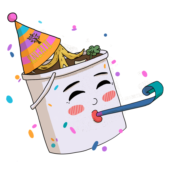 Sr Baldinho Festa.png300