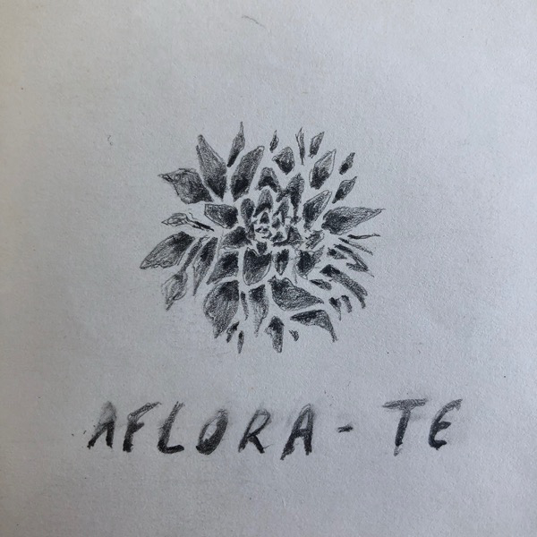 aflorate 2.png
