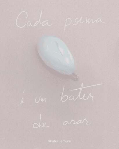 bater de asas.png500