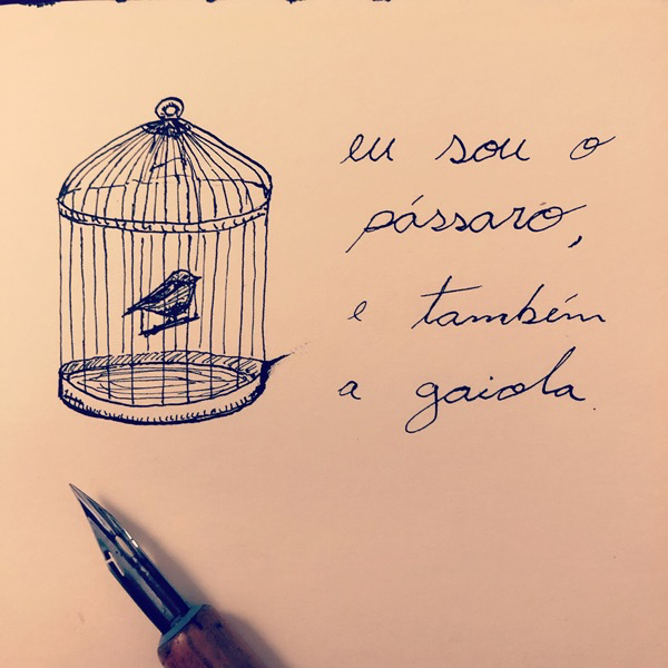 eu sou o passaro.png